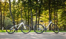 Mountain Bike 2023