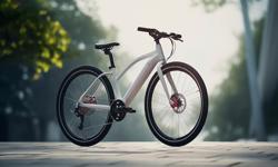 Folding Bike 2023